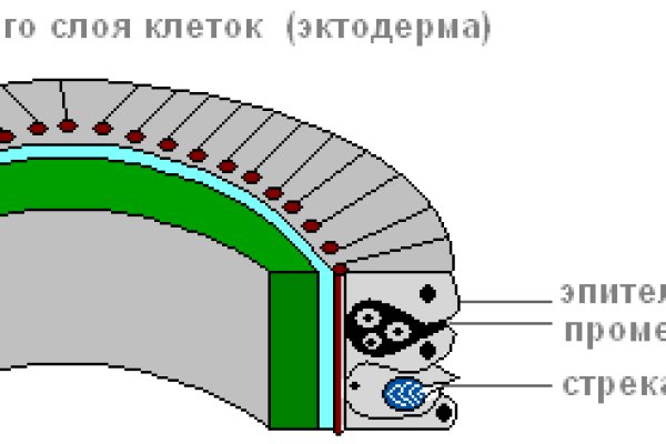 Почему кракен перестал работать