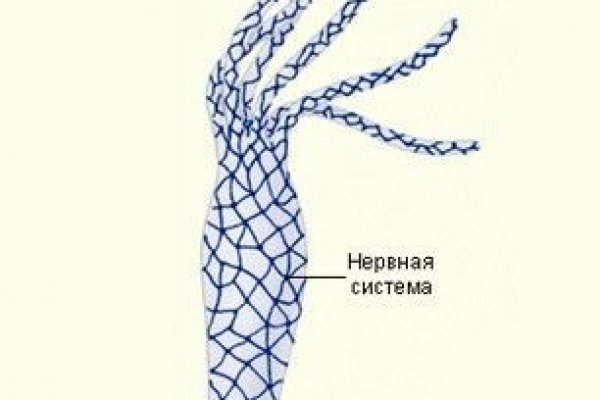 Kraken настоящая ссылка