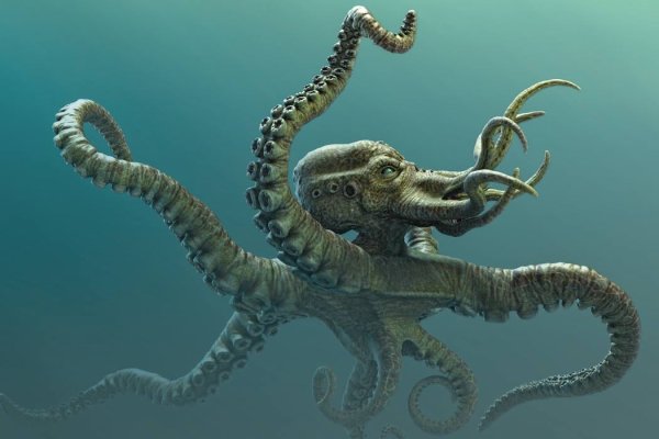 Kraken сайт kraken torion